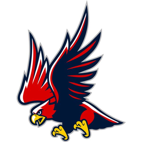 Hawk Mascot Thumbnail