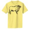 Infant 5.4 oz 100% Cotton T Shirt Thumbnail