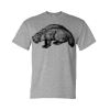 DryBlend® T-Shirt Thumbnail