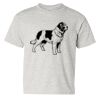 Heavy Cotton™ Youth T-Shirt Thumbnail