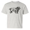 Heavy Cotton™ Youth T-Shirt Thumbnail