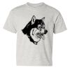Heavy Cotton™ Youth T-Shirt Thumbnail