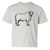 Heavy Cotton™ Youth T-Shirt Thumbnail