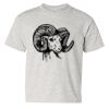 Heavy Cotton™ Youth T-Shirt Thumbnail