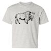Heavy Cotton™ Youth T-Shirt Thumbnail