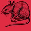 Toddler Heavy Cotton™ T-Shirt Thumbnail