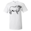 Ultra Cotton® T-Shirt Thumbnail